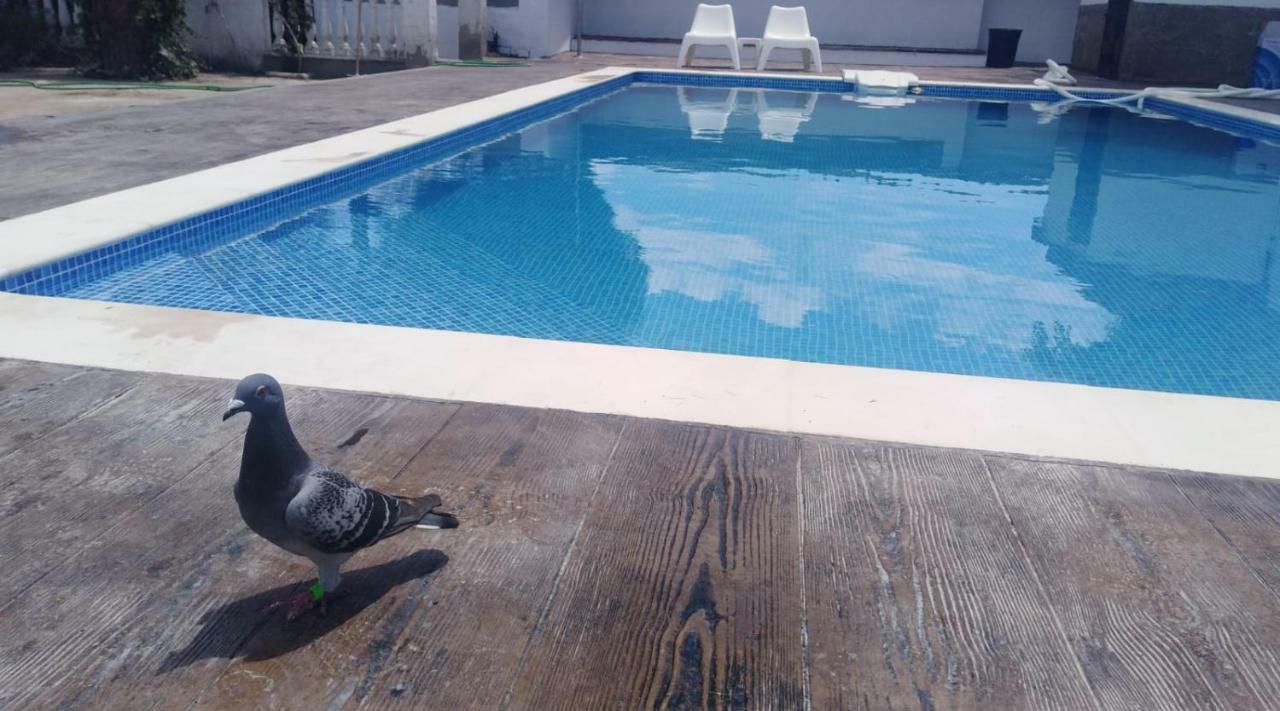 La Berruca Casa Rural Malpartida De Caceres Ngoại thất bức ảnh